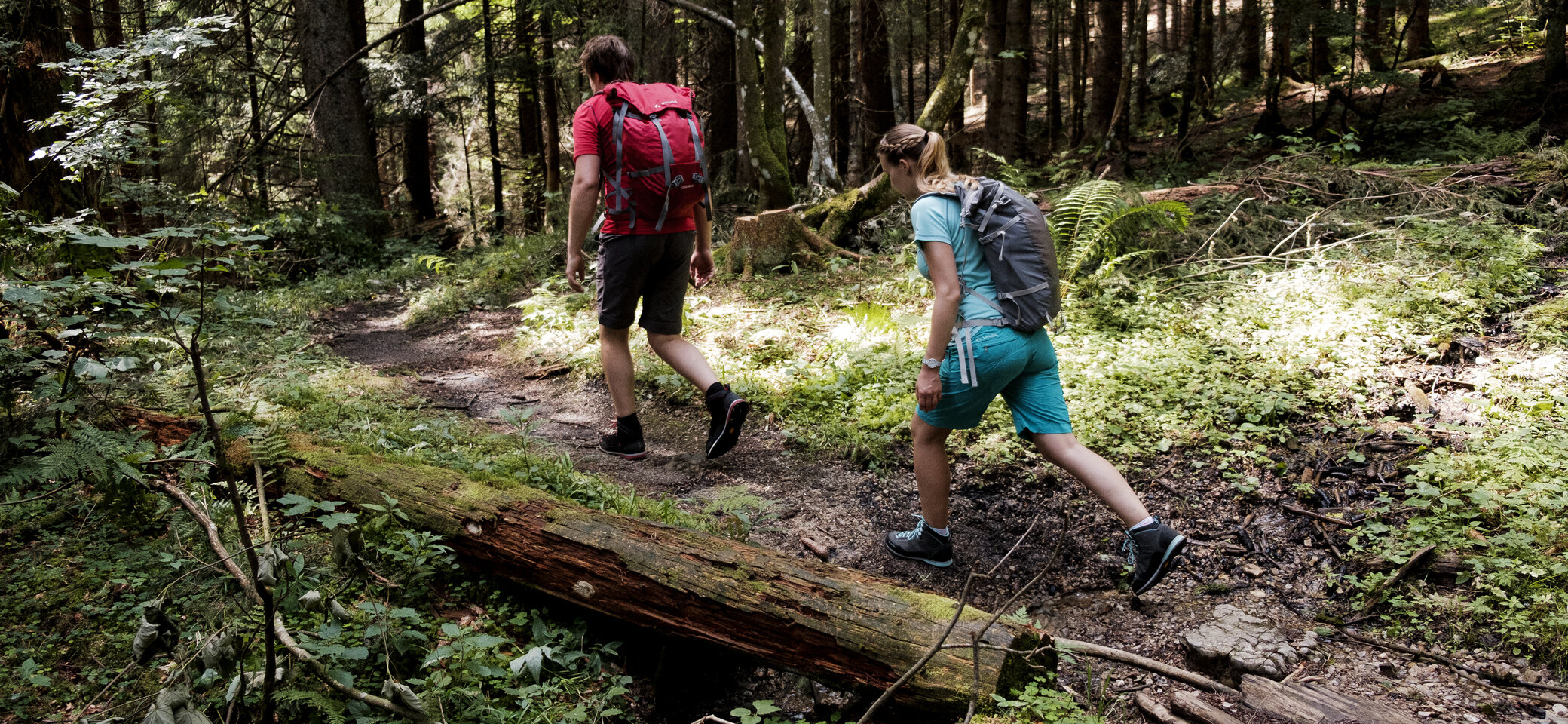 Zwei Wanderer auf dem Weg durch einen Wald | © DAV/Hans Herbig